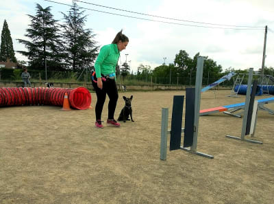 Rioiia Escuela canina - hipica in Albelda de Iregua