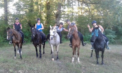 Les Petits Sabots - hipica in Monein