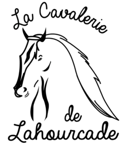LA CAVALERIE DE LAHOURCADE - hipica in Lahourcade