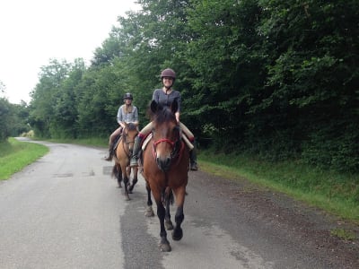 Les Ateliers De La Cavale - hipica in Assat