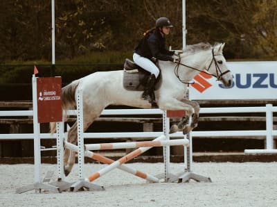 Sotoestrecho Hípica - hipica in Fuente el Saz de Jarama