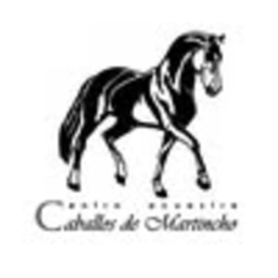Centro Ecuestre Caballos de Martincho - hipica in Farasdués
