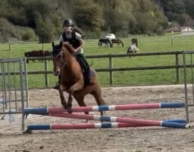 Equestrian Center D'assat - hipica in Assat