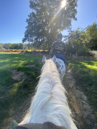 Horse Farm La Forge - hipica in Arbus