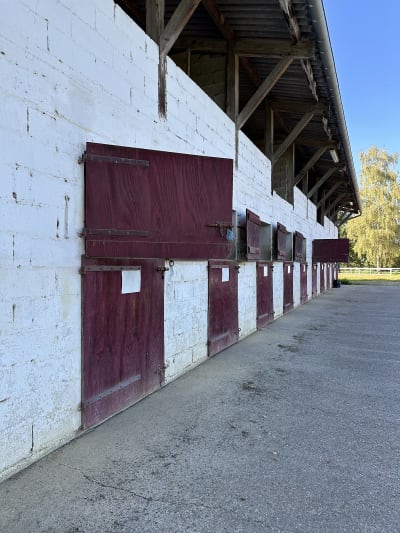 Collectif “tous en selle” - hipica in Lannemezan