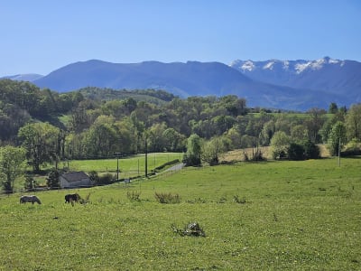 LYCEE TECH NAY BAUDREIX - hipica in Nay