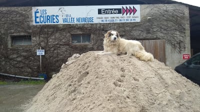 LES ECURIES DE LA VALLEE HEUREUSE - hipica in Uzos