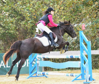 ECOLE D EQUITATION DU MENUSE - hipica in Saint-Jean-de-Marsacq