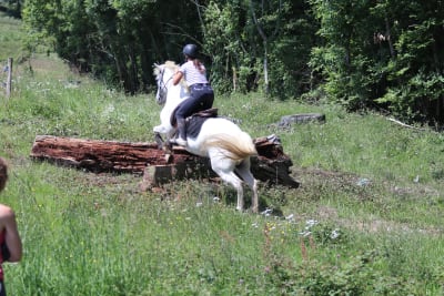 Parc D'aventures À Cheval - hipica in Vielleségure