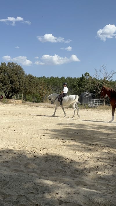 Yeguada Hermanos Civera Sánchez - hipica in Teruel