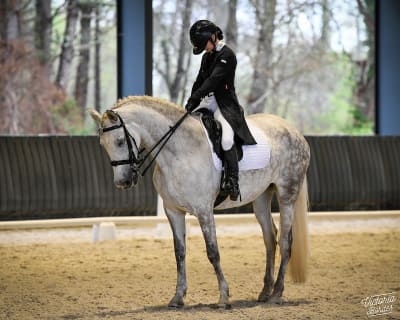 YEGUADA BERBA - hipica in Lahourcade