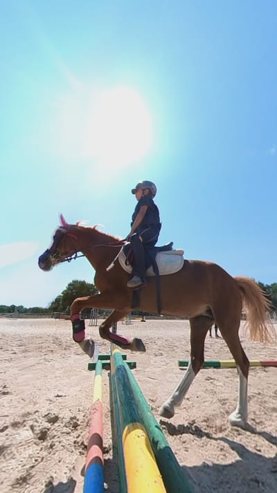 Centro Ecuestre Tovarich - hipica in El Boalo