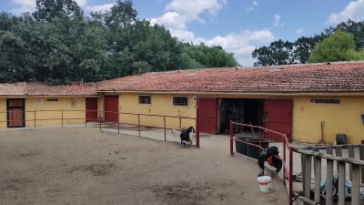 Centro Ecuestre "La Morada del Caballo" - hipica in El Espinar