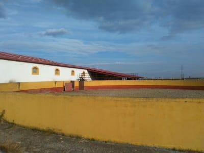 Centro Ecuestre EL VIÑON - hipica in Hontalbilla