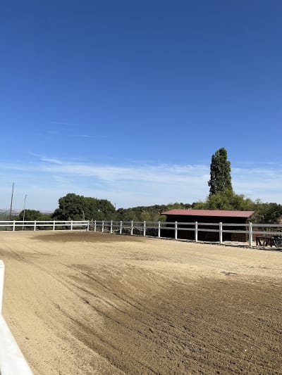 CENTRO ECUESTRE FINCA FERGA BELHA - hipica in Vegas de Matute