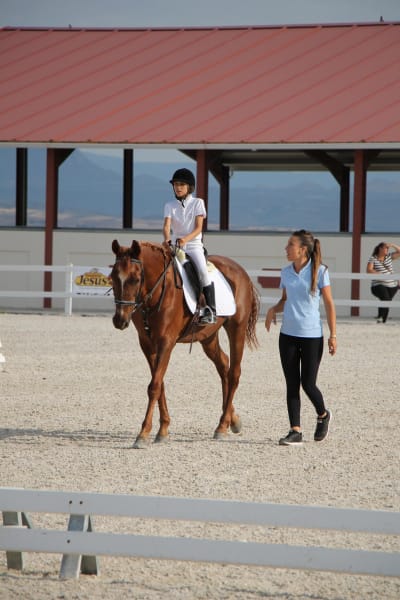 Centro Hípico De Luz - hipica in Torres de la Alameda