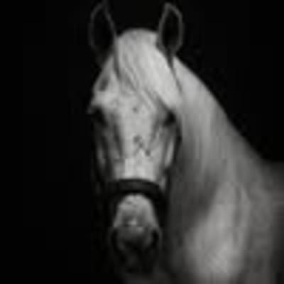 Centro Hipico Valdemoro - hipica in Valdemoro