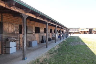 Hípica El Molino - hipica in Madrid