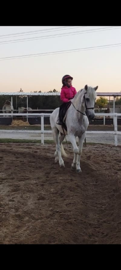 Madrid Equestrian Campogrande - hipica in San Sebastián de los Reyes
