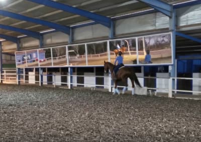 C.D.E HÍPICO SOTO DEL GRILLO - hipica in Velilla de San Antonio