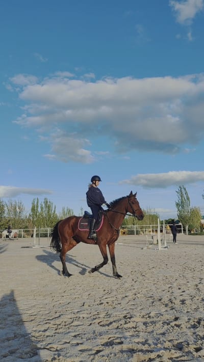 Riding Dreams Horse Xperience - hipica in Madrid