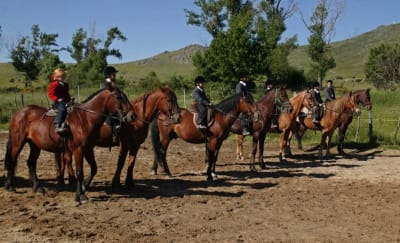 Picadero Herranz - hipica in Real Sitio de San Ildefonso