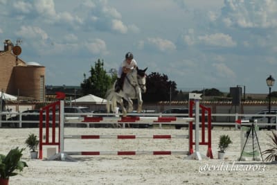 NMV Horses Escuela de Equitación - hipica in Galapagar