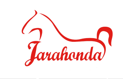 Horse-riding routes Riding Madrid - hipica in Madrid