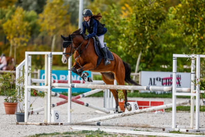 HÍPICA NATUSSE - hipica in San Sebastián de los Reyes