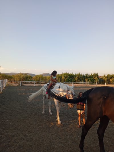 Centro Ecuestre Olipar - hipica in Utiel