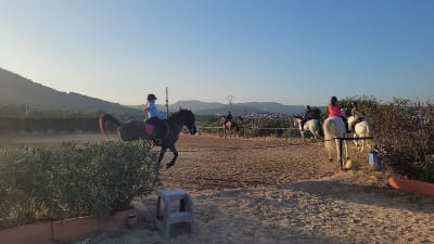 Centro Ecuestre Jesús Verdia - hipica in Onda