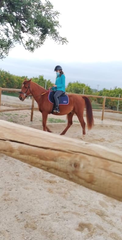 Equi-Lliure - hipica in Benicarló