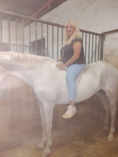 Escuela Equitación Emilio Galán - hipica in Tarancón