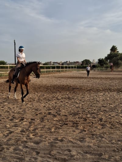 Club Eqüestre Boquera - hipica in Benifaraig