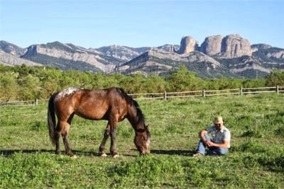 CAVALLS-QUARTS, Hípica y granja - hipica in Horta de Sant Joan