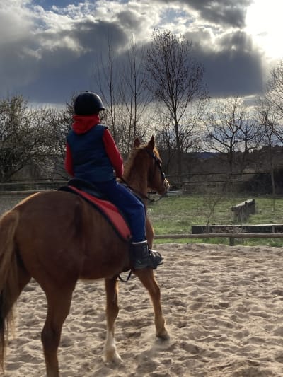 Caballos Sigüenza - hipica in Pozancos