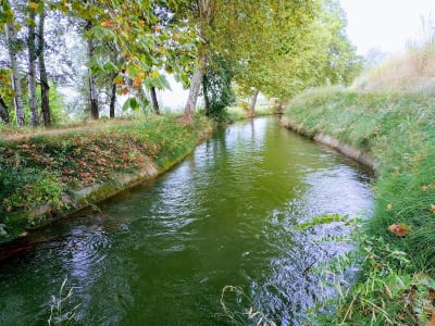 Club hípic La Segona Màquina - hipica in Juneda