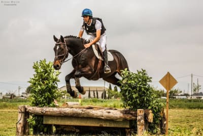 Hípica Obrint Camí - hipica in Les Puelles