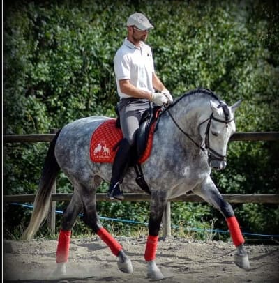 Centre Esportiu Eqüestre del Pirineu - hipica in Castellciutat