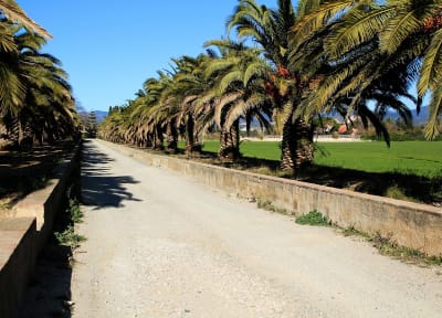 Quadres d'en Blai - hipica in Riudoms