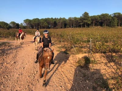 Finca Serra Burgès - hipica 