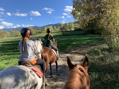 Hipica la Cerdanya a Quatre Potes - hipica in Prullans