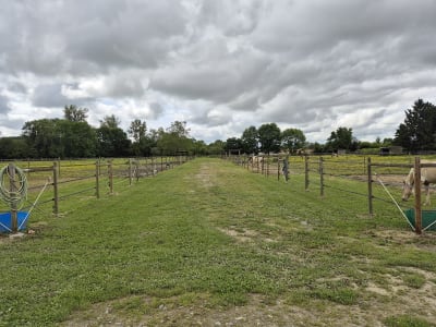 Les Ecuries Du Bosc Clar - hipica in Chis