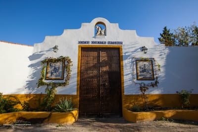 Centro Ecuestre Artequus - hipica in Alhaurín de la Torre