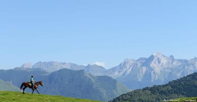 the horses of Benu - hipica in Bielle