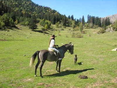 Cavalls XIC | Esterri d'Àneu - hipica in Esterri d'Àneu