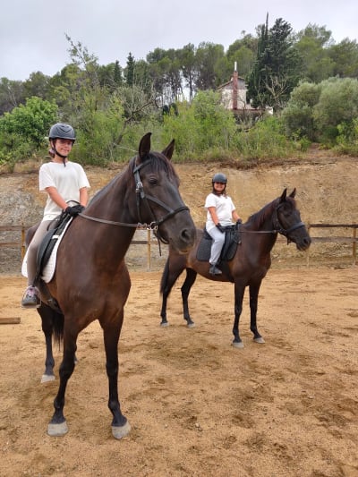 Hesting Club, Equitación Bitless - hipica in Valls