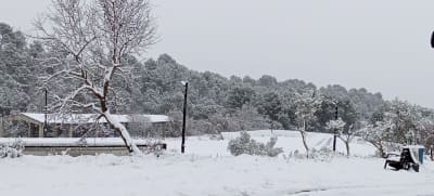 Club Escola Hípica Anoia - hipica in Sant Genís