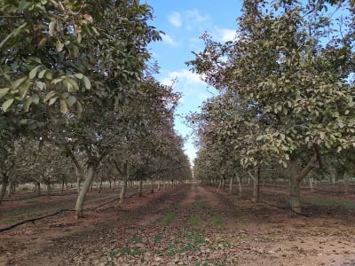 Equus Escola - hipica in Alcover