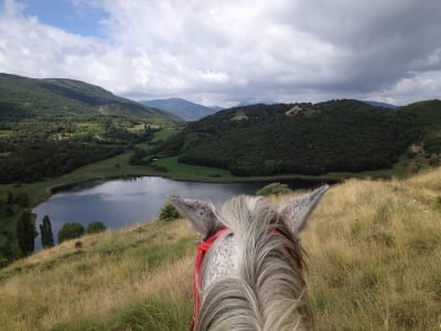 Cavalls Wakan - hipica in Montcortès